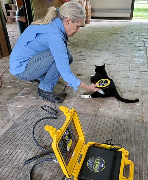 Mary Midkiff and Mr Kitty