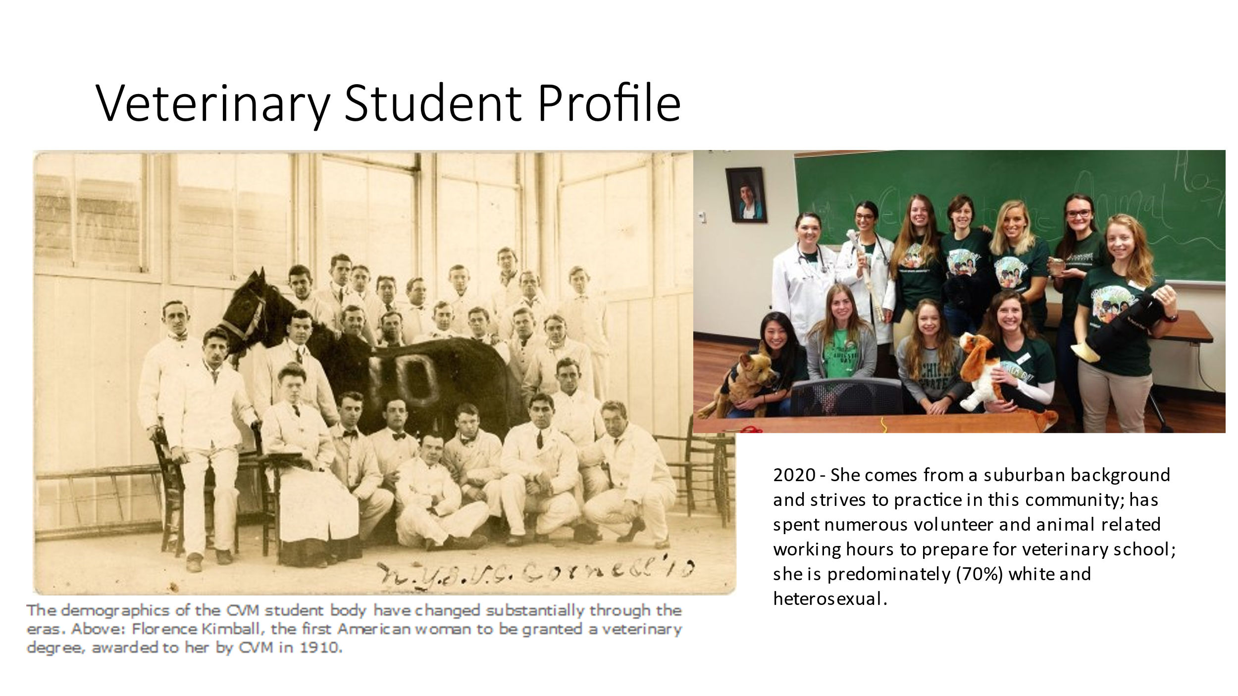 Veterinary Student Profile Comparison